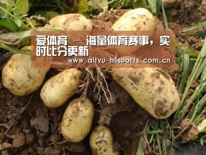 种植基地六