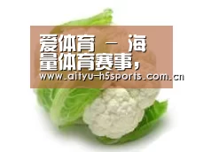 产品名称九