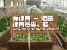 环境展示五