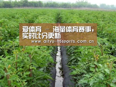 种植基地三