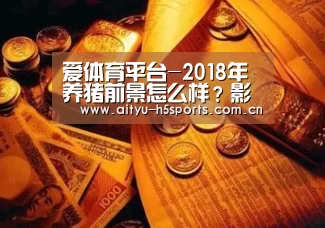 爱体育平台-2018年养猪前景怎么样?影响养猪前景的六大因素(图1) 爱体育APP