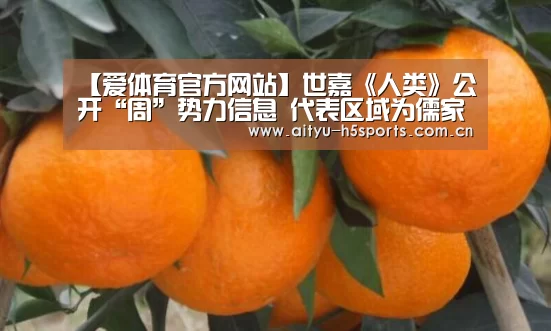 【爱体育官方网站】世嘉《人类》公开“周”势力信息 代表区域为儒家学派(图4) 爱体育官方网站