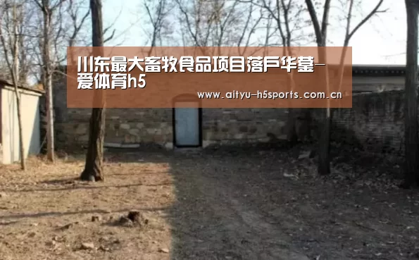 爱体育官方网站