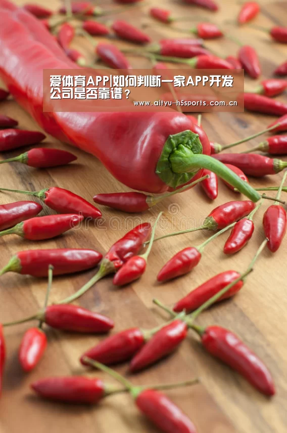 爱体育APP|如何判断一家APP开发公司是否靠谱?(图1) 爱体育APP