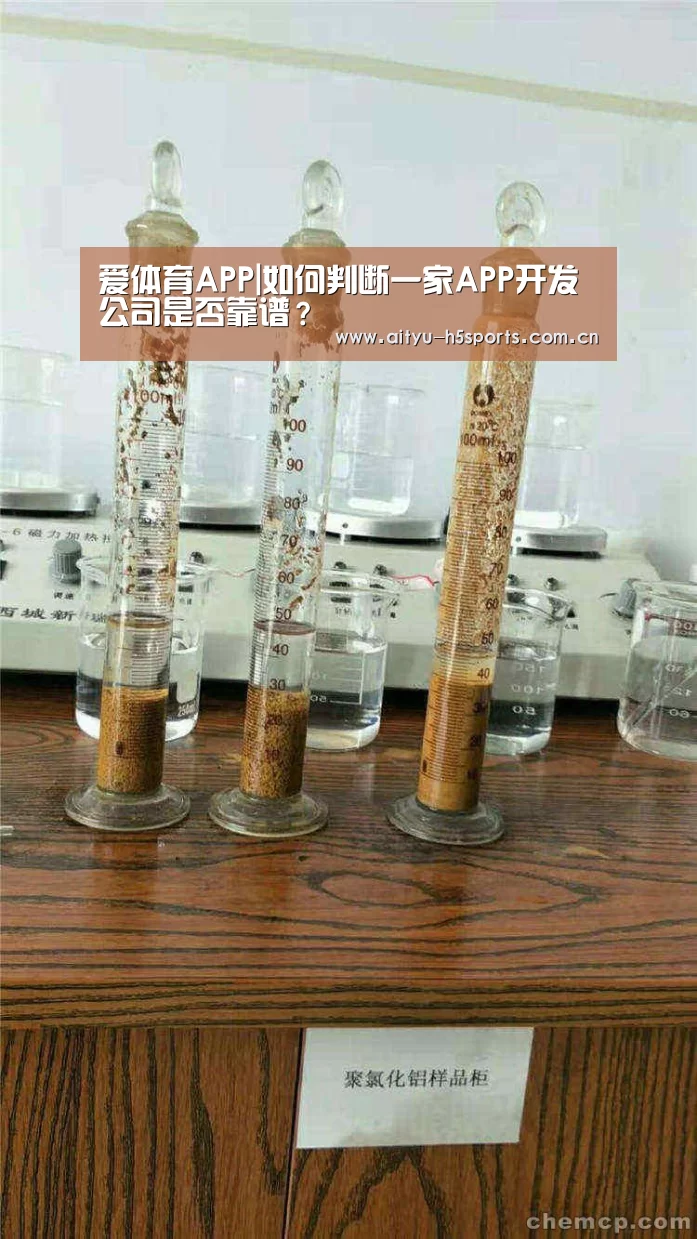 爱体育APP|如何判断一家APP开发公司是否靠谱?(图2) 爱体育h5