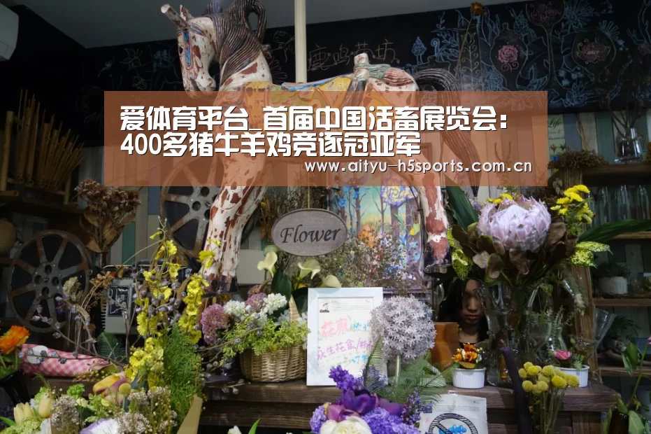 爱体育APP