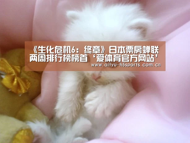 爱体育官方网站