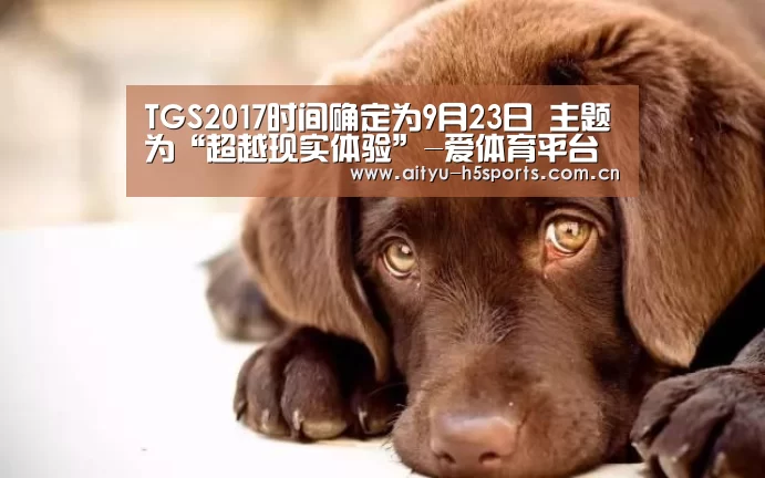 TGS2017时间确定为9月23日 主题为“超越现实体验”-爱体育平台(图2) 爱体育APP