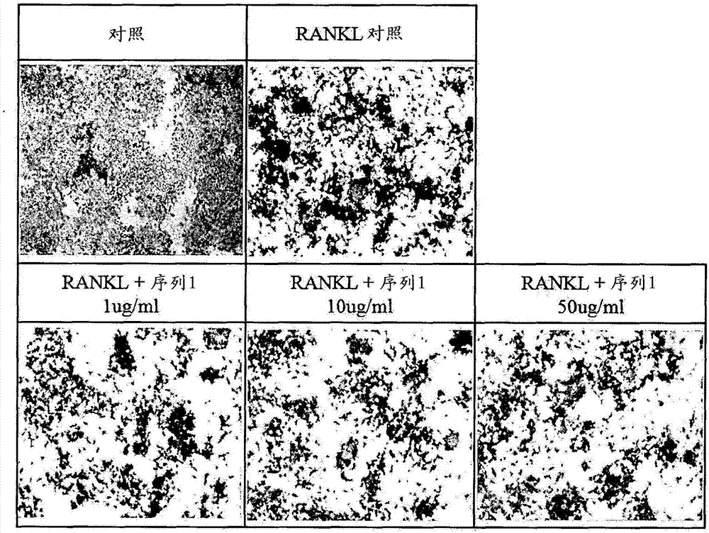 爱体育入口