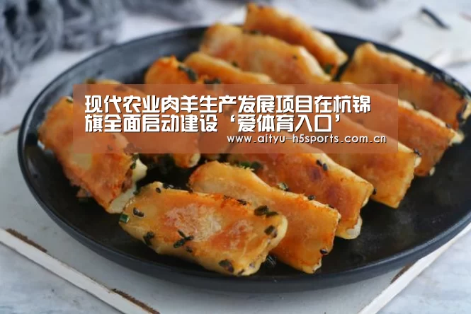 现代农业肉羊生产发展项目在杭锦旗全面启动建设‘爱体育入口’(图1) 爱体育平台
